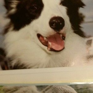 Meet your Posher, Cher